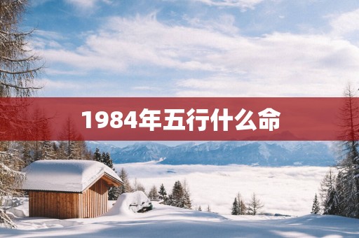 1984年五行什么命 1984年五行什么命