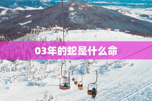 03年的蛇是什么命