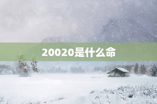 20020是什么命
