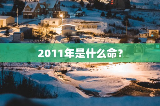 2011年是什么命？