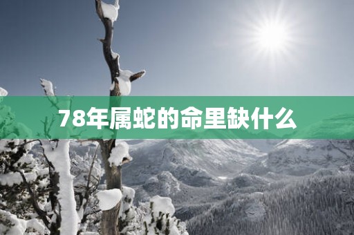 78年属蛇的命里缺什么