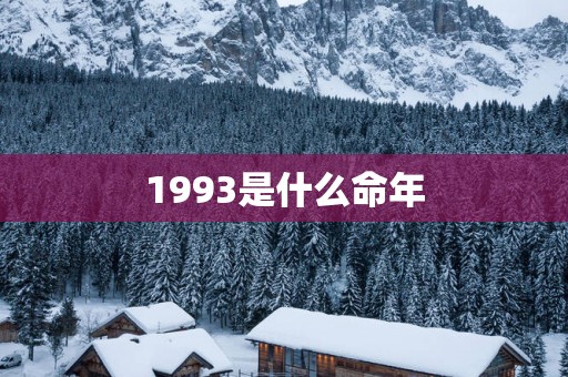 1993是什么命年