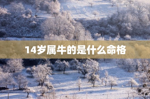 14岁属牛的是什么命格