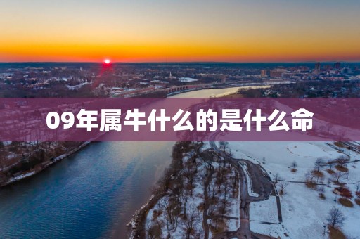 09年属牛什么的是什么命 09年属牛什么的是什么命