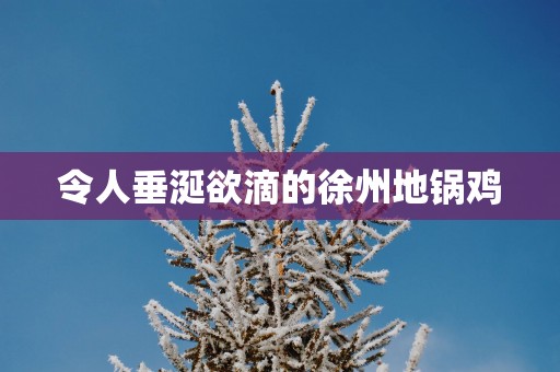 令人垂涎欲滴的徐州地锅鸡