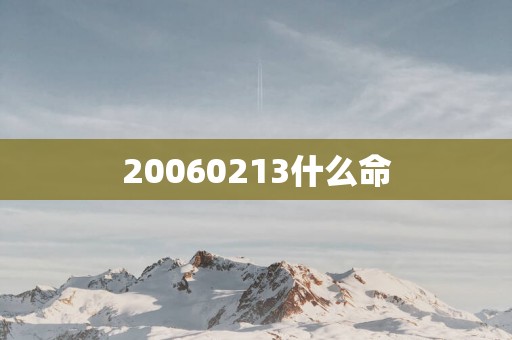 20060213什么命