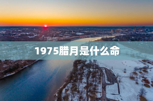 1975腊月是什么命