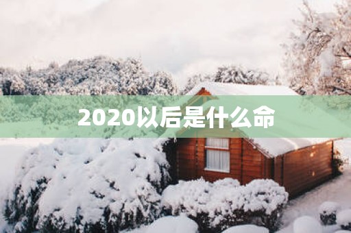 2025以后是什么命
