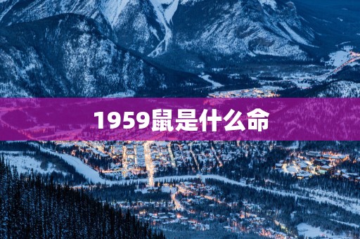 1959鼠是什么命