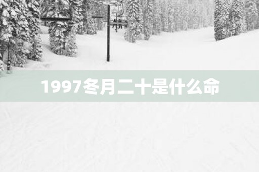 1997冬月二十是什么命