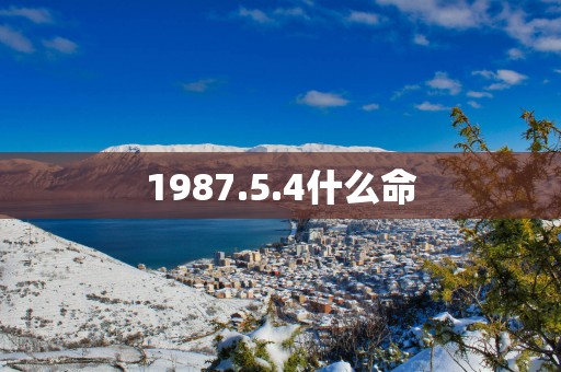1987.5.4什么命