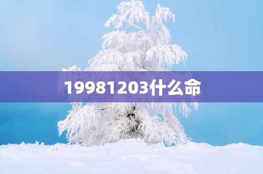 19981203什么命