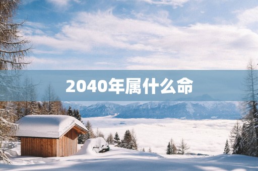 2040年属什么命