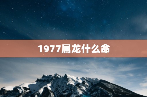 1977属龙什么命