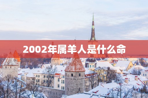 2002年属羊人是什么命