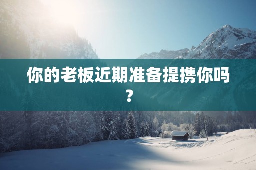 你的老板近期准备提携你吗？