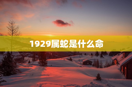 1929属蛇是什么命