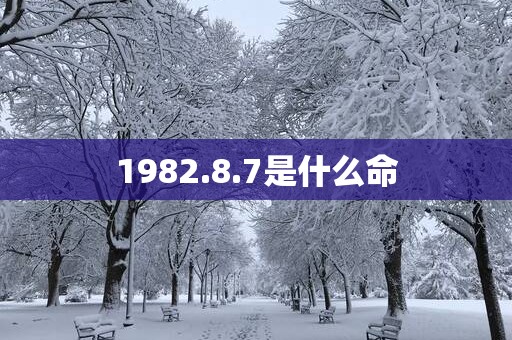 1982.8.7是什么命