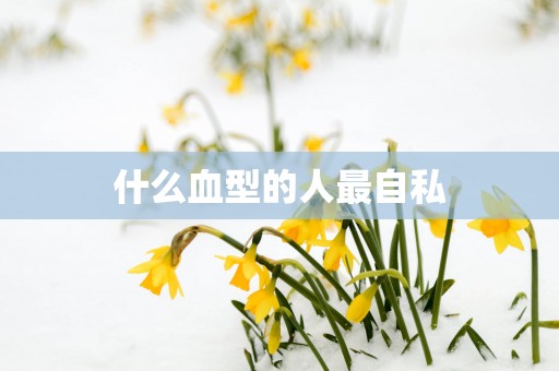 什么血型的人最自私