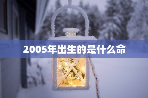 2005年出生的是什么命