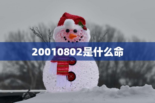 20010802是什么命