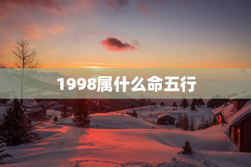 1998属什么命五行