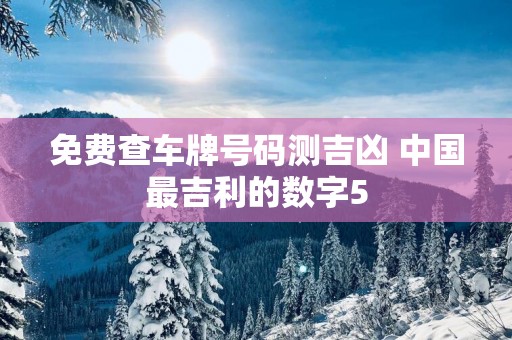 免费查车牌号码测吉凶 中国最吉利的数字5