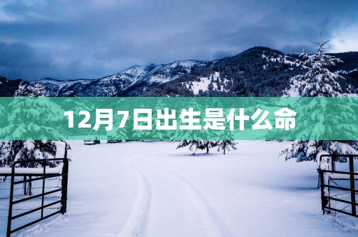 12月7日出生是什么命