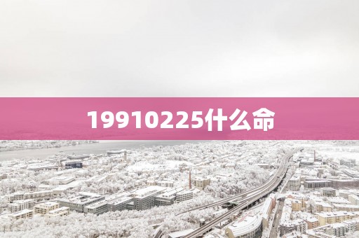 19910225什么命
