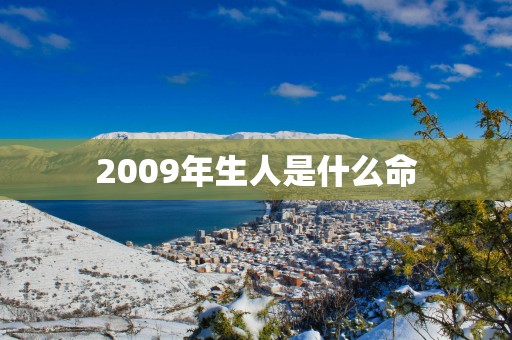 2009年生人是什么命