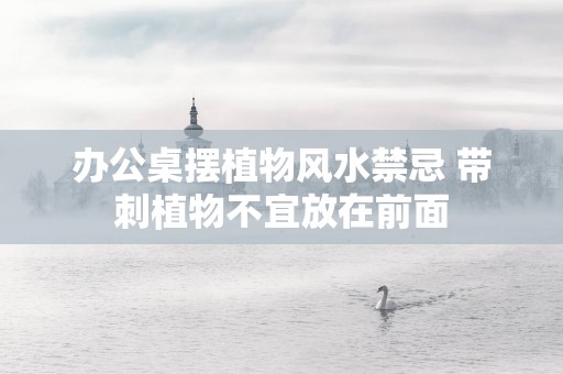 办公桌摆植物风水禁忌 带刺植物不宜放在前面