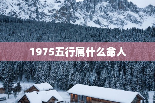 1975五行属什么命人