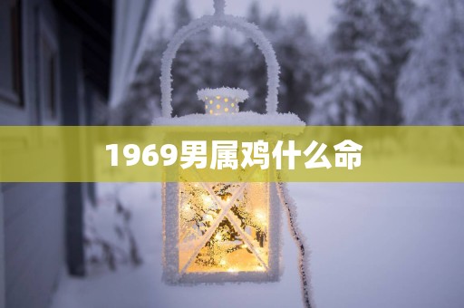 1969男属鸡什么命