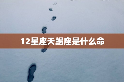 12星座天蝎座是什么命