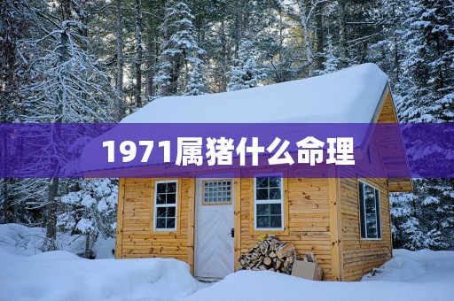 1971属猪什么命理