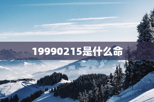 19990215是什么命