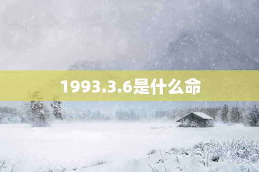 1993.3.6是什么命