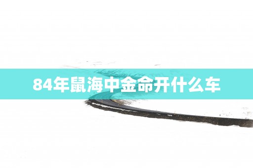 84年鼠海中金命开什么车