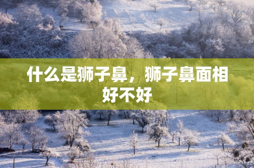 什么是狮子鼻，狮子鼻面相好不好