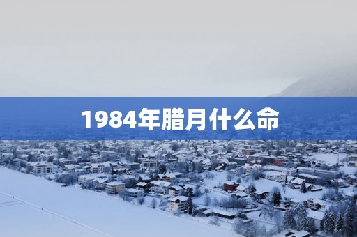 1984年腊月什么命