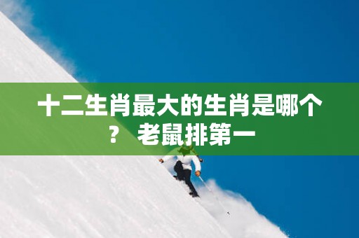 十二生肖最大的生肖是哪个？ 老鼠排第一