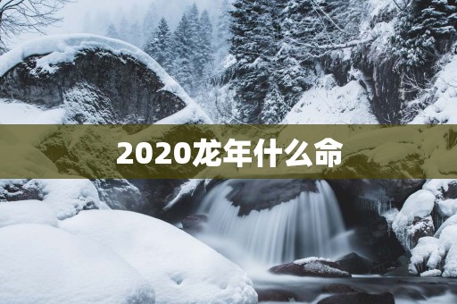 2025蛇年什么命