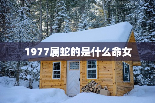 1977属蛇的是什么命女
