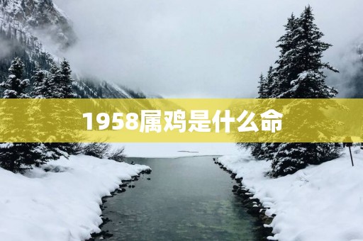 1958属鸡是什么命