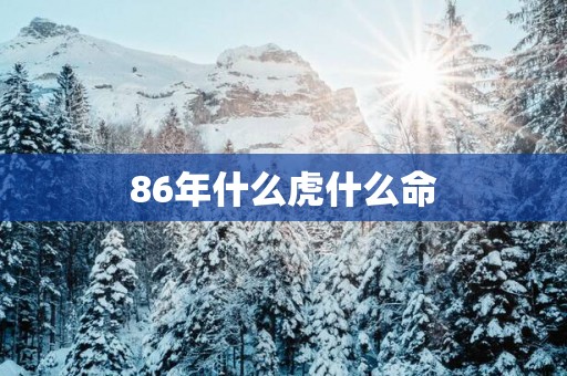 86年什么虎什么命