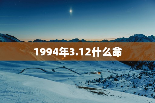 1994年3.12什么命