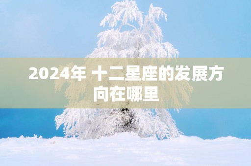 2025年 十二星座的发展方向在哪里