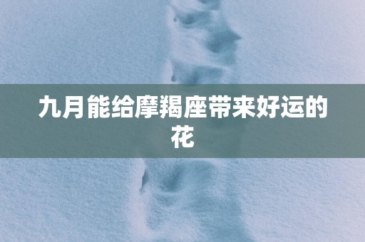 九月能给摩羯座带来好运的花