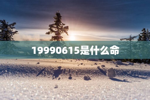 19990615是什么命