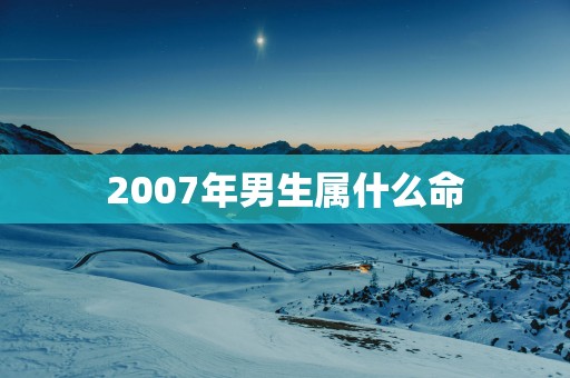 2007年男生属什么命